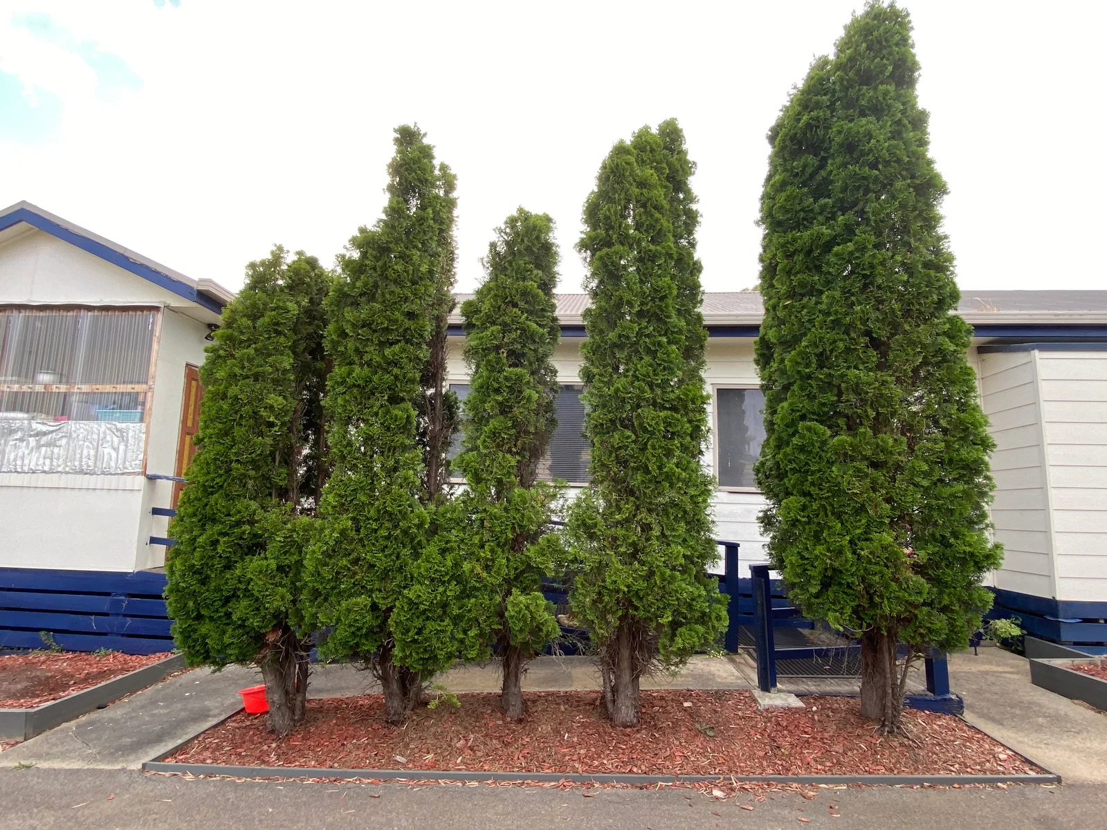 Light of Hidayad Morwell Mosque